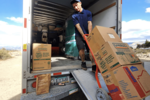 Screenshot 2024-03-29 at 12.56.12 PM